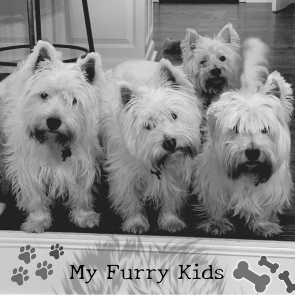 LUGGINBUG Eclectic Treasures - Picture 10 of 10